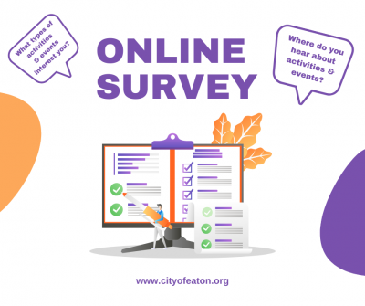 Online survey