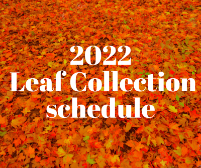Leaf Collection image